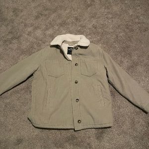 Hollister fleeced-lined collared pull over